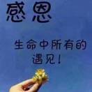 沈文斌